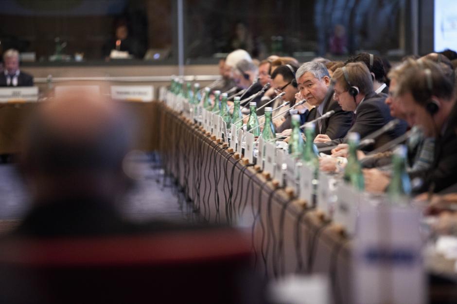 Una seduta del Consiglio permanente tenutasi a Vienna, il 22 novembre 2012.