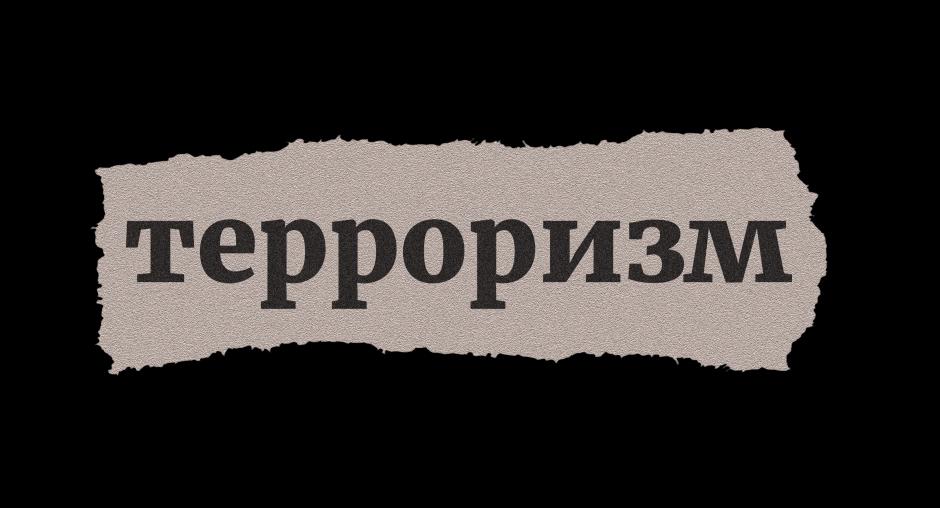 Курсовая работа по теме Международное сотрудничество в сфере борьбы с терроризмом