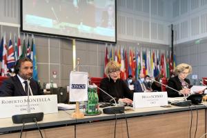 Address by OSCE Secretary General Helga Maria Schmid at OSCE PA's Winter Meeting (OSCE)