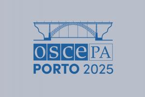  (OSCE)