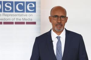 Harlem Désir, OSCE Representative on Freedom of the Media (OSCE)
