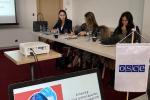 Participants at the first meeting of the Multi-Agency Committee in Montenegro (20-21 October 2021) established as part of the OSCE project, Enhancing Criminal Justice Capacities for Combating Gender-based Violence in South-Eastern Europe (OSCE/Alina Munteanu)