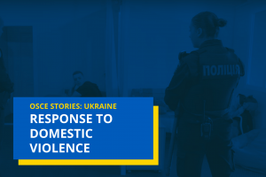 Cover: Domestic violence
 (OSCE)