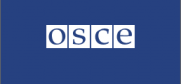 This document aims at highlighting the use of Advance Passenger Information (API) systems among OSCE participating States and Partners for Co-operation in line with the recently adopted MC.DEC/6/16.