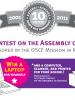 Kosovo Assembly essay contest poster. (OSCE)