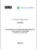 Thumbnail cover for the "Development of a monitoring methodology for e-governance in Azerbaijan" (OSCE)