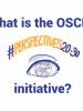 OSCE's Perspectives 20-30 Initiative (OSCE)