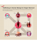 Alternative diagram for basic modes of trafficking in human beings for the removal of organs with a transnational dimension 