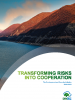 Cover of "Transforming Risks into Co-operation" (OSCE)