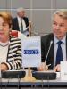 Special Representative of the OSCE Chairperson-in-Office on Gender Issues June Zeitlin, and Pekka Haavisto, the Finnish Minister for International Development, address participants at the opening of the Gender Equality Review Conference, Vienna, 10 July 2014. (OSCE/Micky Kroell)