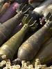 Mines and unexploded ordnance pose some of the greatest threats to the security of civilians after a conflict. (OSCE/Alex Nitzsche)