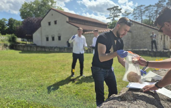 Participants get hands-on training at a regional workshop on combating illicit trafficking in cultural property organized by the OSCE and the Austrian Ministry of Finance – Customs Service in Vienna, 25 June 2025.  (OSCE)