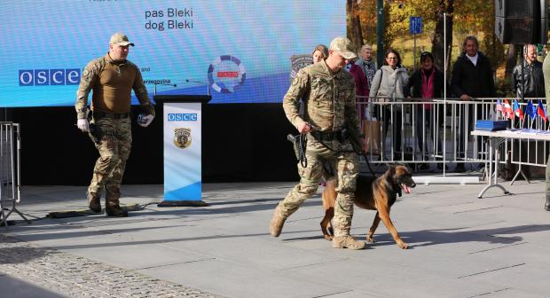 30 October 2025, SARAJEVO – Recognizing the critical role of K9 units in detecting and preventing crime, law enforcement teams from across BiH, showcased their expertise in a skills presentation. 