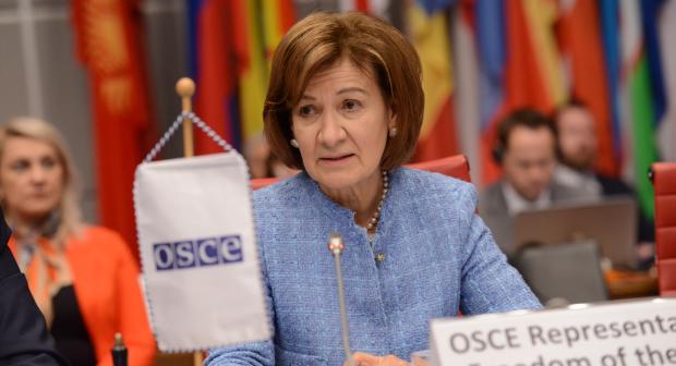 OSCE Representative on Freedom of the Media Teresa Ribeiro presents her bi-annual report to the Permanent Council on 23 November 2023 (OSCE/ Micky Kroell)