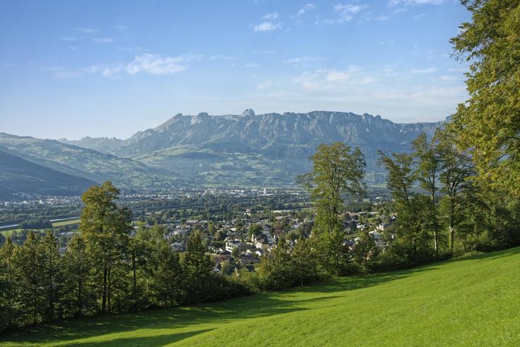 View of Vaduz, a small town in a green valley with mountains in the distance under a clear blue sky.