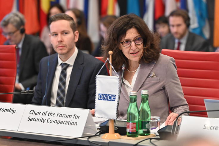 Ambassador Fatène Benhabylès-Foeth of France chairs the inaugural FSC Meeting