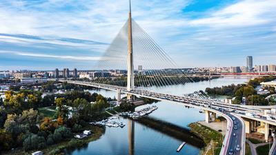 Aerial view of a cable-stayed bridge over a river, with city skyline and lush greenery under a blue sky.