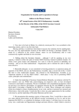 Address by Ambassador Paul Bekkers, Director of the Office of the OSCE Secretary General