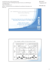 Presentation by Amb. Ulianovschi, Chair, Steering Committee on Trade Capacity and Standards