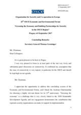 Concluding Remarks by Amb. Greminger