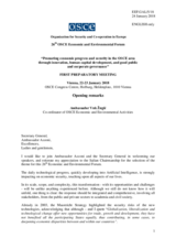 Opening Remarks by Amb. Vuk Žugić