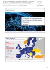 Presenation by Mr. Peter Pozsgai, Gas Expert