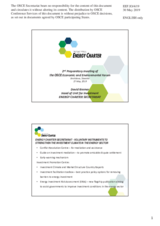 Presentation by Mr. David Kramer, Head of Investment Unit