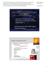 Presentation by Mr. Lubomir Tomik, Director