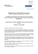 Statement by Ambassador František Ružička, State Secretary, Ministry of Foreign and European Affairs
