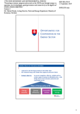 Presentation by Mr. Martin Pitorak, Acting Director, Fuels and Energy Department, Ministry of Economy