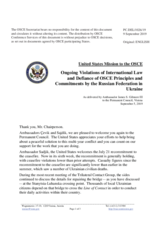 Statement by the Delegation of the United States of America in response to the update by Ambassador Martin Sajdik and to the report by Ambassador Yaşar Halit Çevik