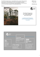 Presentation by Mr. Jorge Rios, Chief, Global Programme for Combating Wildlife and Forest Crime