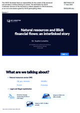 Presentation by Dr. Sophie Lemaître, Senior Adviser