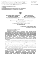 Выступление Постоянного представителя Российской Федерации А.К.Лукашевича - О выполнении Плана действий ОБСЕ по гендерному равенству