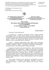 Выступление Постоянного представителя Российской Федерации А.К.Лукашевича - В ответ Грузии