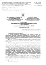 Комментарий Постоянного представителя Российской Федерации А.К.Лукашевича - В связи с Международным днем девочек