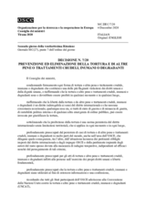 DECISION No.7, PREVENTION AND ERADICATION OF TORTURE AND OTHER CRUEL, INHUMAN OR DEGRADING TREATMENT OR PUNISHMENT