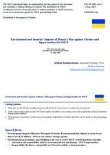 Statement by the Delegation of Ukraine on security and environment