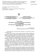Выступление Постоянного представителя Российской Федерации А.К.Лукашевича - На выступление Министра иностранных дел Армении А.С.Мирзояна