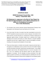 Statement by the Spanish EU Presidency in response to the report by the Special Representative of the OSCE Chairman-in-Office on Combating Corruption, Prof. Anita Ramasastry