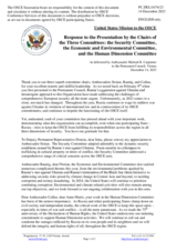 Statement by the Delegation of the United States of America in response to the presentation by the Chairs of the Three Committees