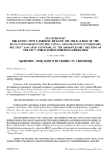 Closing statement by the Delegation of the Russian Federation