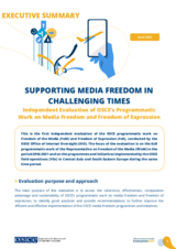 Executive Summary: Independent Evaluation of OSCE’s Programmatic Work on Media Freedom and Freedom of Expression
