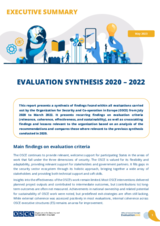 Executive Summary: Evaluation Synthesis 2020-2022