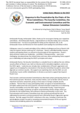 Statement by the Delegation of the United States of America in response to the presentation by the Chairs of the Three Committees