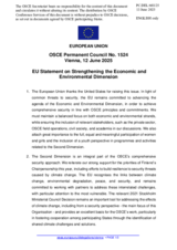 Statement by the Polish EU Presidency on strengthening the Economic and Environmental Dimension