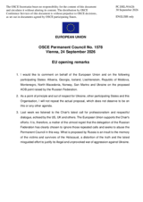 EU Statement