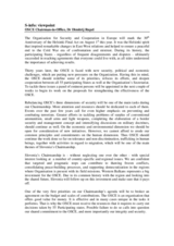 Interview with OSCE Chairman-in-Office Dimitrij Rupel in S-info