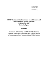 Statement by Mr. Radulovic, Political Director of the Ministry of Foreign Affairs of Montenegro