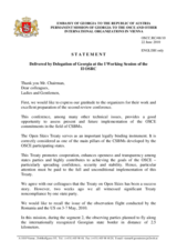 Statement by Georgia